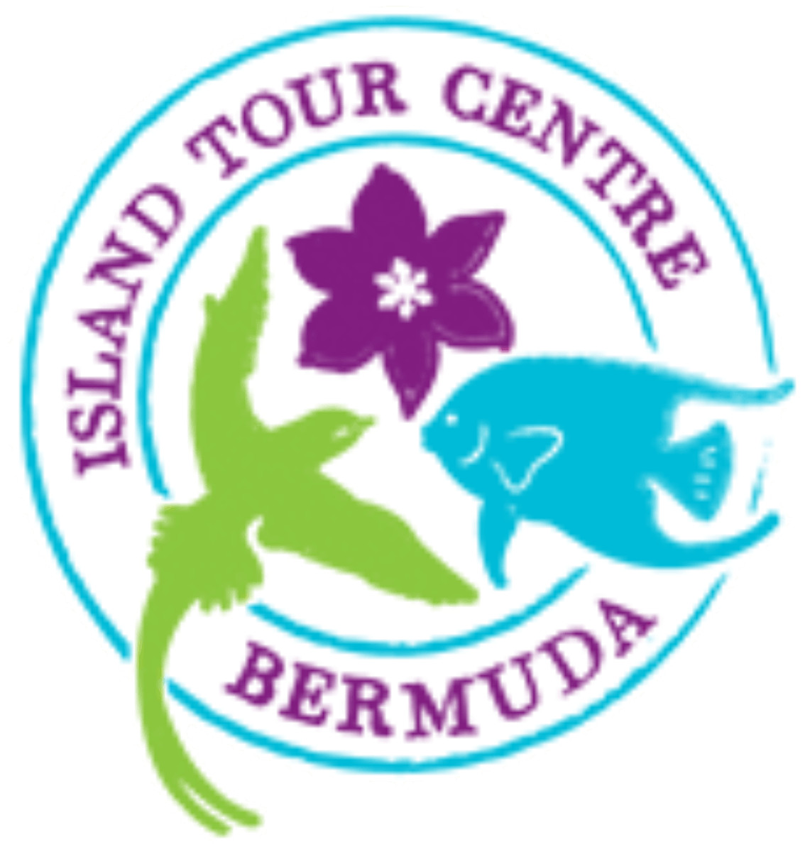 island tour centre bermuda